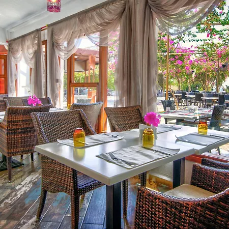 Otel Merit Royal Gardens & Casino Gazimağusa